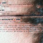 05 – IMG-PHOTO-ART–1856742658