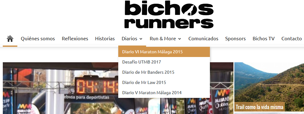 Diario de Entrenamientos VI Maratón Málaga 2015